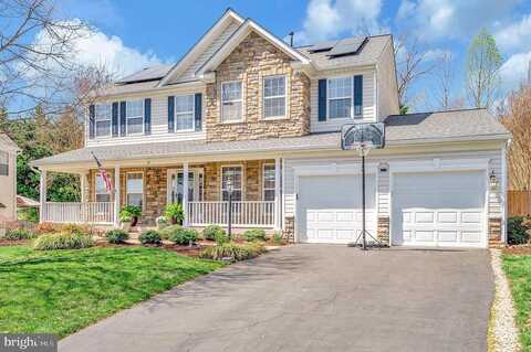 Palace, STAFFORD, VA 22554