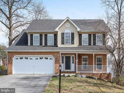 Cannon, WINCHESTER, VA 22602