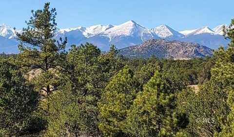 525 Black Cloud Cir, Cotopaxi, CO 81223