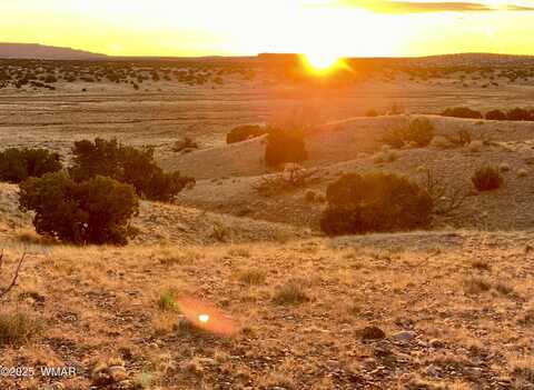 Woodland Valley Ranch 36 acres, Saint Johns, AZ 85936