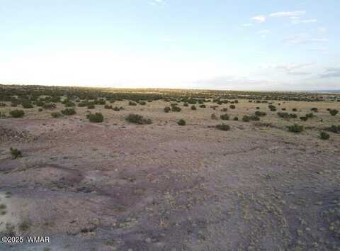 Lot 12 Carrizo Ranch, Saint Johns, AZ 85936