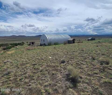 3 County Road N3365, Vernon, AZ 85940