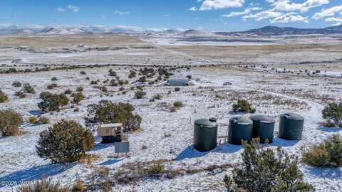3 County Road N3365, Vernon, AZ 85940