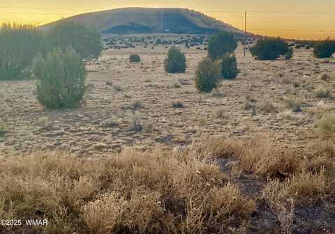 Tbd CR 5106, Concho, AZ 85924