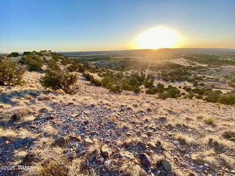 Tbd CR 5060 1.38 ACRES, Concho, AZ 85924