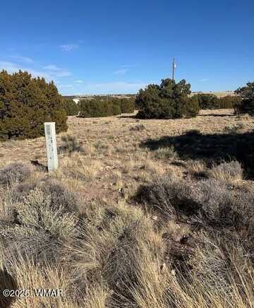 62 Dawn Lane, Concho, AZ 85924