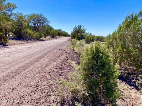 Tbd Co Rd 8269 Lot 150, Concho, AZ 85924