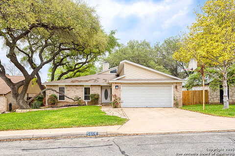 Timber Hawk, SAN ANTONIO, TX 78250