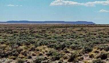 Tbd COUNTY ROAD N7012 40 ACRES, Chambers, AZ 86502