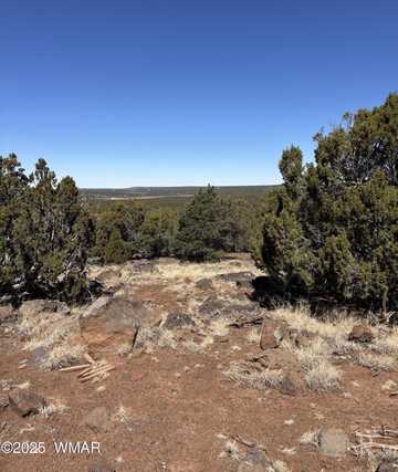30 County Road, Concho, AZ 85924