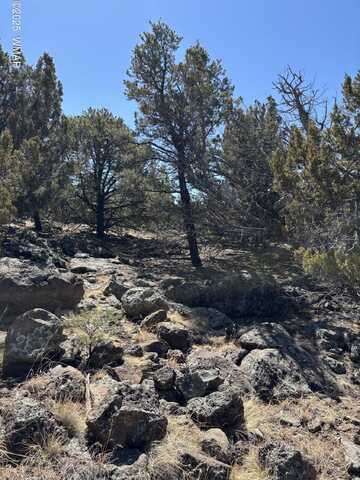 239 Geronimo Dr, Concho, AZ 85924
