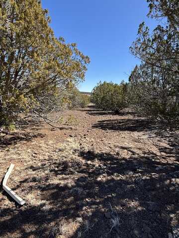 Tbd 107-10-334, Concho, AZ 85924