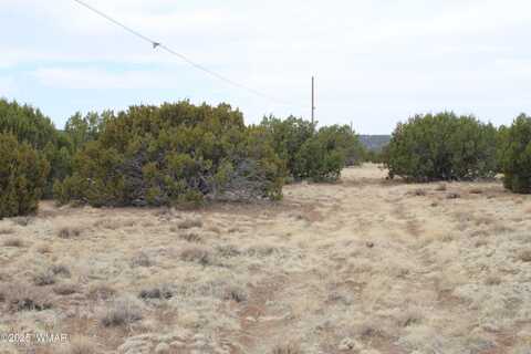 21 & 23 CR 8004, Concho, AZ 85924