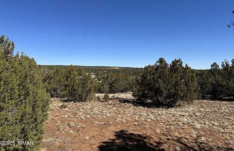 32 County Road 3048, Concho, AZ 85924