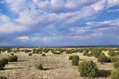 Tbd 211-46-010F, Concho, AZ 85924