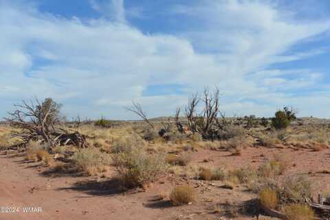 8272 Charolais Trail, Snowflake, AZ 85937