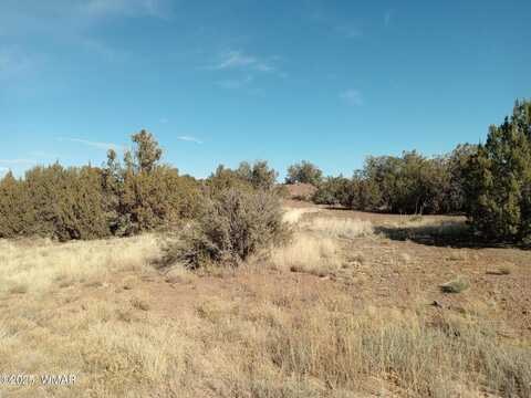 8492 Cannon Boulevard, Show Low, AZ 85901