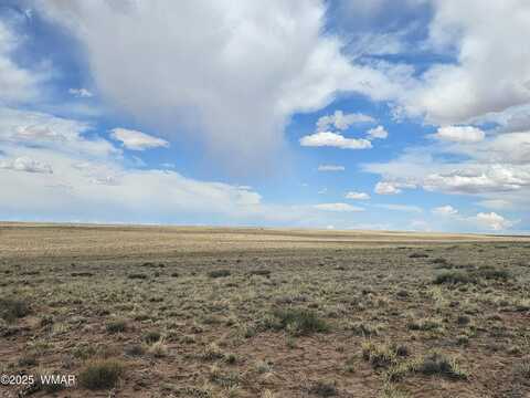 Lot 42 S Tovar Avenue, Holbrook, AZ 86025