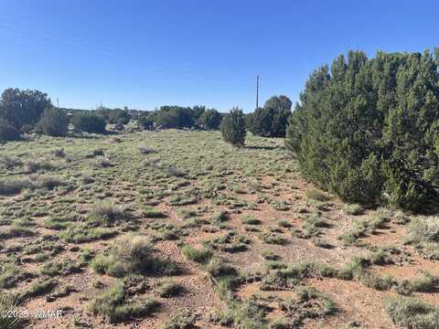 37 Frontage Road, Concho, AZ 85924