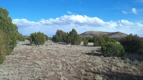 59 County Road 5101, Concho, AZ 85924