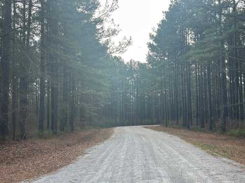 RiverSong Road- Tract 3(5.00 Acres), Carrollton, GA 30117