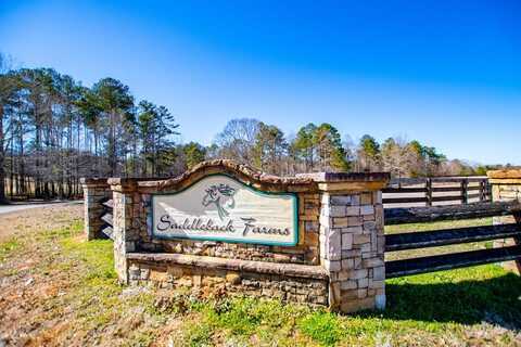 Tr 6 & 7 Tranquil Bluff, Newnan, GA 30263