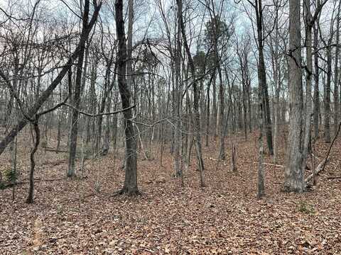 158 Foggy Bottom Dr, Carrollton, GA 30116