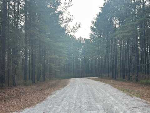 250 RiverSong Road, Carrollton, GA 30117