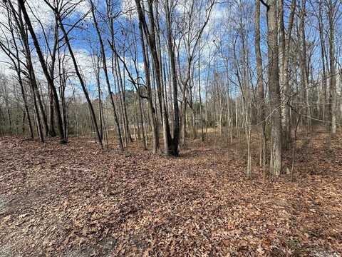 238 Oak Ridge Drive, Carrollton, GA 30116