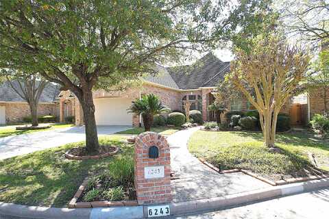 Agassi Ace, SPRING, TX 77379