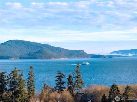 Portalis, ANACORTES, WA 98221