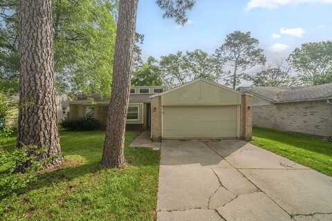 Adonis, SPRING, TX 77373