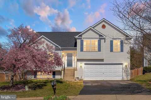 Little Field, FREDERICKSBURG, VA 22405