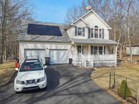 Sassafras, ALBRIGHTSVILLE, PA 18210