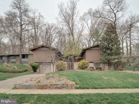 Mary Lee, ANNANDALE, VA 22003