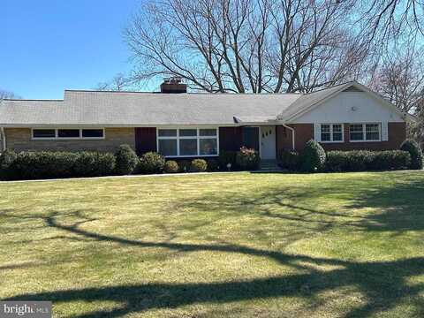 Cedar, VIENNA, VA 22180