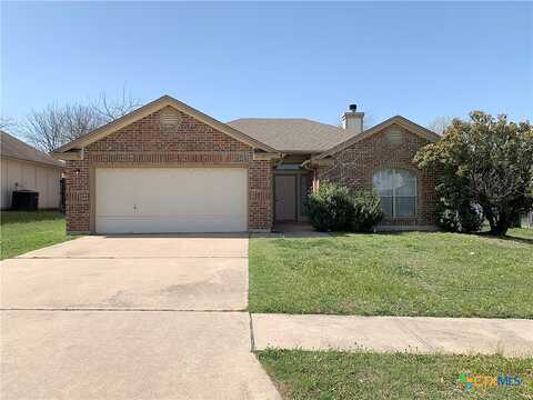 Larkspur, KILLEEN, TX 76549