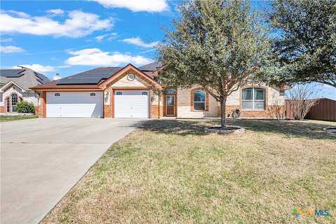 Hazelnut, HARKER HEIGHTS, TX 76548