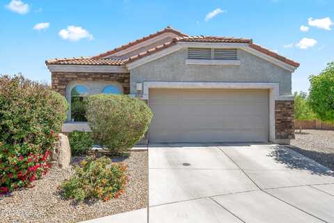 White Spruce, TUCSON, AZ 85743