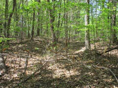 Lot 596 Laurel Drive, Westminster, SC 29693