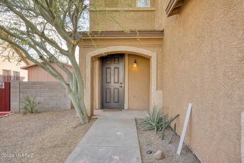 Plover, TUCSON, AZ 85756
