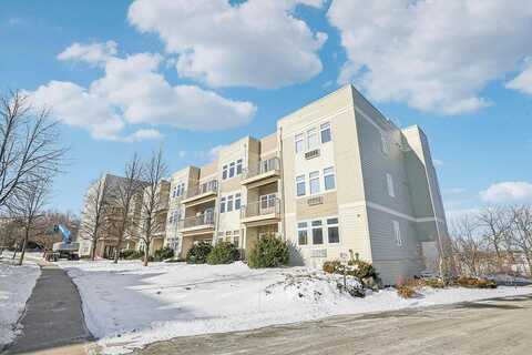 Starr Grass, MADISON, WI 53719