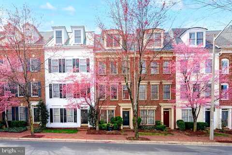 Duke, ALEXANDRIA, VA 22314