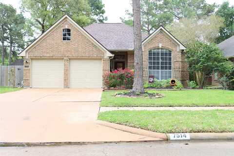 Ashton, HOUSTON, TX 77095
