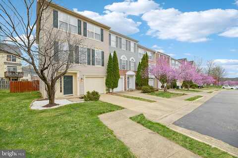 Frankfurt, WOODBRIDGE, VA 22191