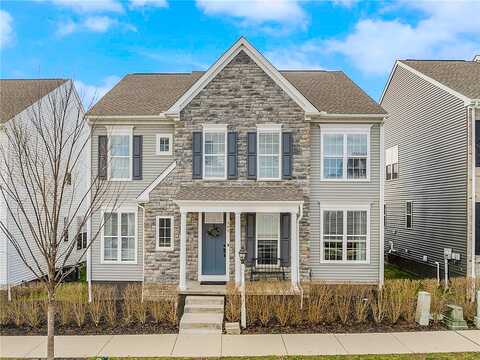 Harlequin, CRANBERRY TOWNSHIP, PA 16066