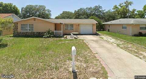 Flintwood, HOLIDAY, FL 34690