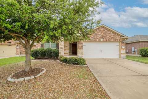 Sparrow, PFLUGERVILLE, TX 78660