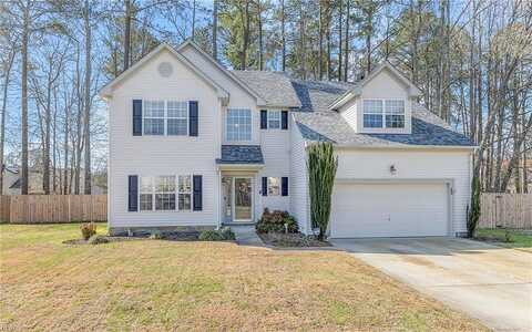 Blue Wing, SUFFOLK, VA 23434