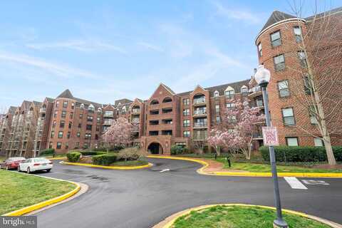 Langston, ARLINGTON, VA 22201